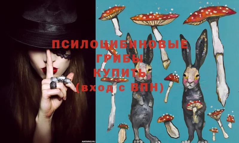 Галлюциногенные грибы Magic Shrooms  Кедровый 